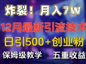 12月最新日引流500+创业粉：多重收益保姆级教学，精准引流实战揭秘-54创业网