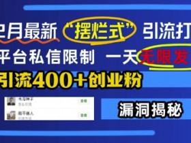 12月最新摆烂式引流打法：突破私信限制日引400+创业粉，无限私信技巧-54创业网