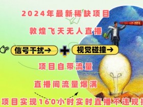 2024敦煌飞天无人直播赚钱项目：自带流量160小时不违规，日赚爆满！-54创业网