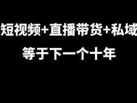 短视频直播带货私域运营：7年实战大佬揭秘下一个十年赚钱秘籍-54创业网