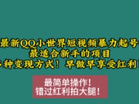 12月QQ小世界暴力起号教程：新手轻松赚钱，短视频变现玩法大全-54创业网