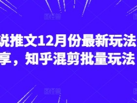 12月小说推文最新玩法：知乎混剪批量操作技巧分享-54创业网