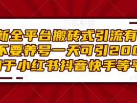 全平台搬砖引流：小红书抖音快手1天200+粉，有手就行不养号-54创业网
