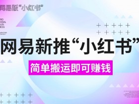 网易小红书搬运赚钱攻略：新手小白0门槛赚收益(附详细教程)-54创业网