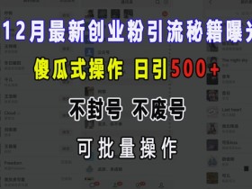 12月创业粉引流秘籍：日引500+不封号，傻瓜式操作可批量【揭秘】-54创业网
