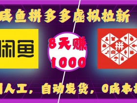 拼多多虚拟拉新项目：0成本自动发货，8天赚1千实操攻略-54创业网