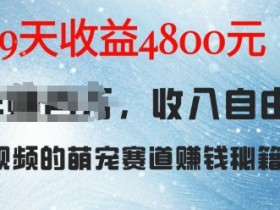 AI宠物兔视频赚钱：9天收益4.8k的萌宠赛道实操秘籍-54创业网