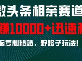 相亲赛道野路子玩法：无脑复制粘贴，月入1w+，微头条速成攻略-54创业网