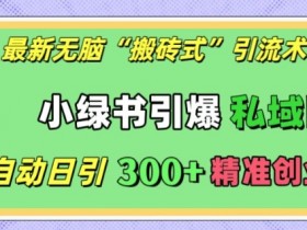 小绿书全自动引流术：日引300+精准创业粉，无脑搬砖引爆私域圈-54创业网