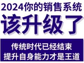 2024最新销售实战课：升级你的销售系统，落地见效快（2月更新）-54创业网