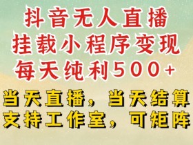 抖音无人直播赚钱：当天直播当天结算，日赚500+，支持矩阵工作室【揭秘】-54创业网