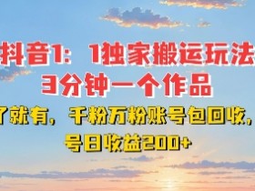 DY独家1：1搬运玩法：3分钟1作品，千粉万粉账号回收，单号日赚200+【揭秘】-54创业网