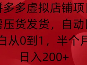 拼多多虚拟店铺项目：0压货发货自动回复，小白半月日入200+实战揭秘-54创业网