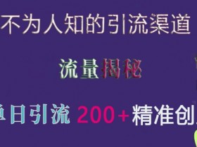 实测单日引流200+精准创业粉：揭秘不为人知的引流渠道-54创业网
