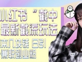 小红书截流玩法：独家截中截技术，单号成本几块日引500+精准粉-54创业网
