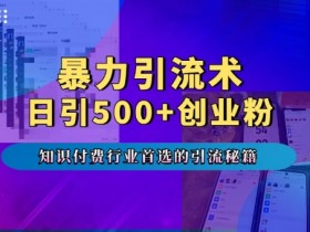 暴力引流术：1天暴流500+创业粉，5手机接不完！专业付费行业引流首选秘籍-54创业网