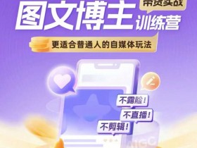 普通人自媒体带货实战：不露脸不直播不剪辑的图文博主训练营-54创业网