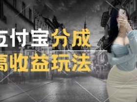 交通事故视频赚钱：支付宝分成计划新玩法，轻松月入过W操作揭秘-54创业网