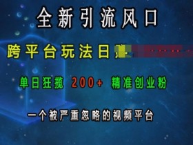 跨平台引流日入上k：视频平台狂揽200+创业粉，全新风口玩法-54创业网