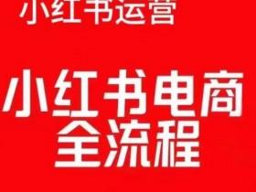 小红书电商运营课：从0到1的红薯电商全流程实操指南-54创业网
