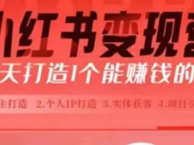 新手小白必看：21天小红书博主课，0基础打造赚钱红薯号-54创业网