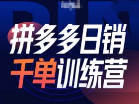 拼多多日销千单训练营31期：微付费带免费流量玩法，快速爆单秘籍-54创业网