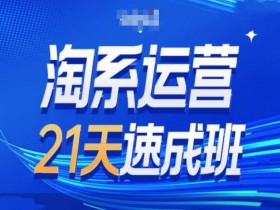 淘系运营21天速成班：2025搜索新玩法与趋势揭秘，第34期开课中-54创业网