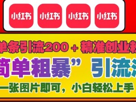 12月底小红书引流秘籍：单条爆粉200+精准创业粉实战技巧-54创业网