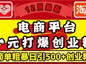 12月电商创业粉引流秘籍：1元打爆日引500+精准粉，轻松月入过W-54创业网