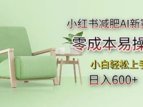 小红书AI减肥新赛道：零成本日入多张，小白轻松上手赚钱秘籍-54创业网