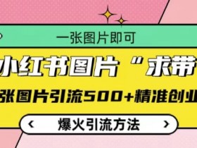 小红书求带图片引流500+创业粉，爆火秘籍大公开！-54创业网
