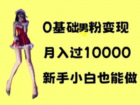 0基础男粉s粉变现教程：新手小白月入1w+的简单操作揭秘-54创业网