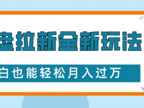 大学生免费复习资料引流秘籍：网盘拉新玩法轻松月入过W，小白必看！-54创业网