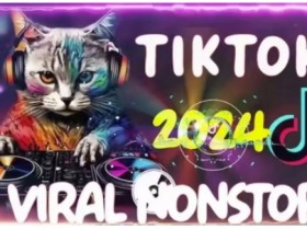 Tiktok东南亚小店运营教程：5步掌握TK跨境小店爆单技巧-54创业网