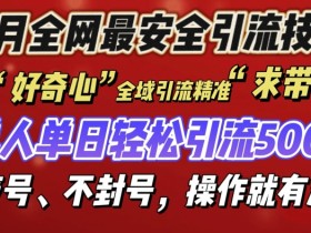 12月最安全引流创业粉技术：不封号不废号，操作简单流量暴涨-54创业网