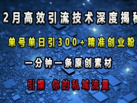 单号日引300+创业粉：高效引流技术揭秘，1分钟原创素材引爆私域流量-54创业网