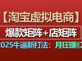 2025淘宝虚拟电商新打法：爆款矩阵+店矩阵，轻松月入过万-54创业网