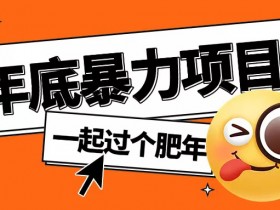 年底暴力项目：多开抢红包玩法，简单无脑轻松赚钱，揭秘年底吃肉秘诀-54创业网