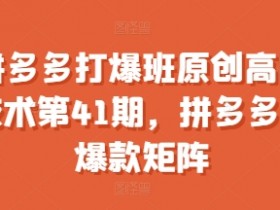 拼多多小爆款矩阵打造秘籍：41期原创高阶技术班，快速打爆拼多多流量-54创业网