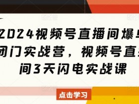 2024视频号直播爆单实战：3天闪电营快速变现秘籍-54创业网