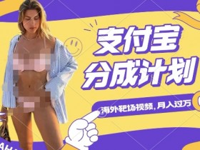 海外靶场射击视频赚钱：支付宝分成月入过W秘诀-54创业网