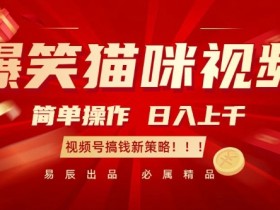 轻松日赚1000+：爆笑猫咪视频号赚钱秘籍，新手必看！-54创业网
