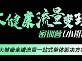 大健康变现课：千万级线下课+全域流量一站式解决方案-54创业网