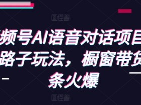 AI语音对话项目：视频号野路子玩法，橱窗带货条条爆单-54创业网