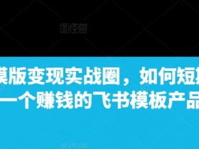 飞书模板变现指南：7天打造赚钱飞书模板的实战技巧-54创业网