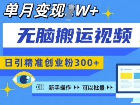 新手日引300+创业粉：无脑搬运视频号批量复制，月变现过W揭秘-54创业网