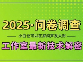 2025问卷调查工作室技术解密：在家闷声发财，小白日入2张，可矩阵放大-54创业网