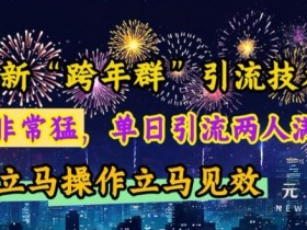 跨年群引流秘籍：单日爆满2个500人群，实操见效快【限时揭秘】-54创业网