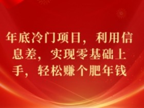 年底冷门赚钱项目：零基础利用信息差轻松赚肥年钱-54创业网
