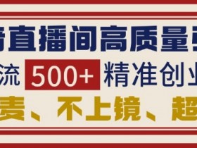 抖音直播引流创业粉秘籍：不连麦不上镜，日引500+精准粉-54创业网
